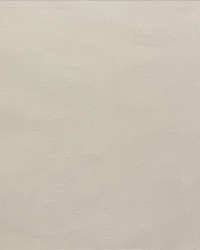 Silk Dupioni Cream by   