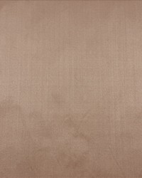 Silk Dupioni Dewas by   