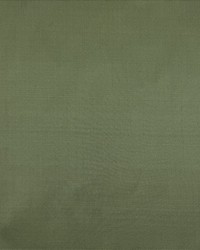 Silk Dupioni Green by   