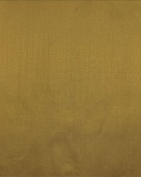 Silk Dupioni Kathmandu by   