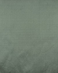 Silk Dupioni Pistachio by   