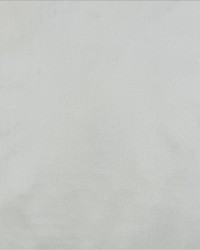 Silk Dupioni White by   