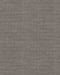 Sotto Black Pearl by   