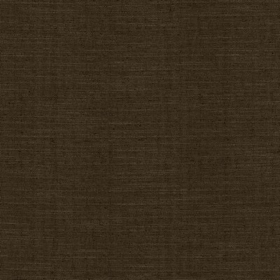 Kasmir Sotto Chocolate in 5126 Brown Multipurpose Polyester  Blend Fire Rated Fabric Heavy Duty Solid Faux Silk   Fabric