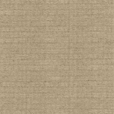 Kasmir Sotto Twig in 5126 Brown Multipurpose Polyester  Blend Fire Rated Fabric Heavy Duty Solid Faux Silk   Fabric