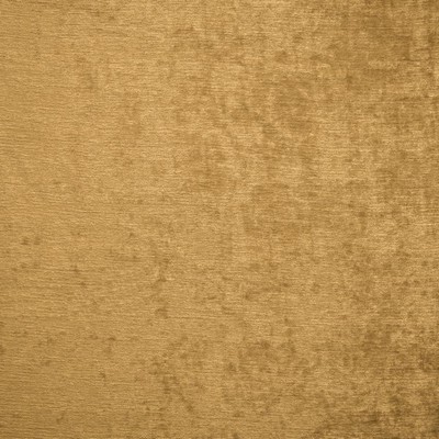 Kasmir SPLENDID         VINTAGE GOLD    