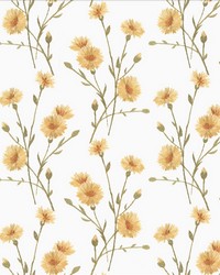 Sprightly Daisy by  Michael Jon Designs 