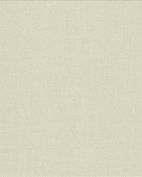 Subtle Chic Champagne by   