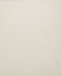 Subtle Chic Ivory by   