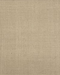 Textured Silk Camel by   