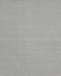 Textured Silk Pewter by   