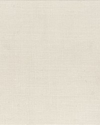 Textured Silk White by   