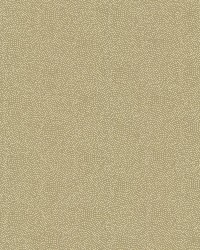 Textured Dot Oatmeal by   