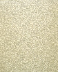 Textured Dot Palomino by   