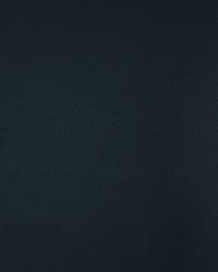 Top Tier Blueberry by   