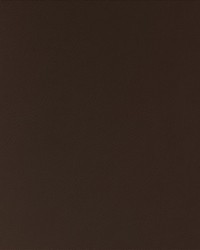 Top Tier Chocolate by   