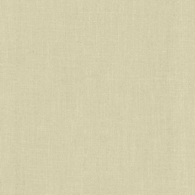 Kasmir Tundra Cloud in 5161 White Multipurpose Polyester  Blend Fire Rated Fabric High Performance CA 117   Fabric