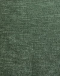 Worthy Alpine Forest by   