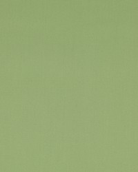 Nura Tilleul 4784-20 by  Manuel Canovas 