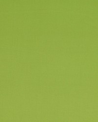 Nura Pistache 4784-42 by  Manuel Canovas 