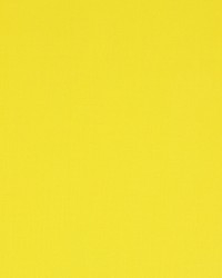 Nura Curry 4784-61 by  Manuel Canovas 