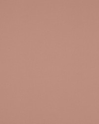 Nura Dragee 4784-69 by  Manuel Canovas 