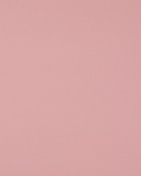 Nura Rose Ancien 4784-71 by  Manuel Canovas 