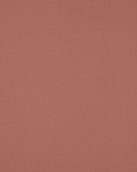 Nura Rose Buvard 4784-72 by  Manuel Canovas 