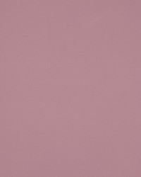 Nura Parme 4784-73 by  Manuel Canovas 