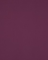 Nura Violine 4784-74 by  Manuel Canovas 