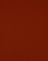 Nura Ecureuil 4784-79 by  Manuel Canovas 