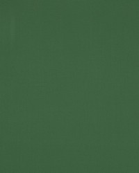 Nura Lichen 4784-88 by  Manuel Canovas 