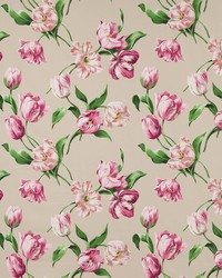 Polina Rose and Beige M4103-01 by  Manuel Canovas 
