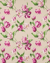 Polina Fuchsia and Sable M4103-02 by  Manuel Canovas 