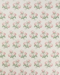 Bowood Pink Leaf 1020-04 by  Cowtan and Tout 