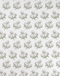 Bowood White Leaf 1020-05 by  Cowtan and Tout 