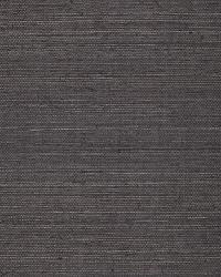 ONNA SISAL BLACK by  Schumacher Wallpaper 