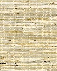 SONOTA ARROWROOT OATMEAL by  Schumacher Wallpaper 
