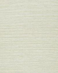 AYAME SISAL AQUAMARINE by  Schumacher Wallpaper 