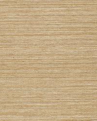 AYAME SISAL SAGE by  Schumacher Wallpaper 