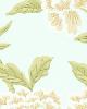 Schumacher Wallpaper WHITNEY FLORAL AQUA