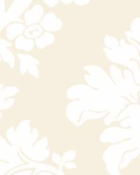 TIERNI DAMASK BLUSH by  Schumacher Wallpaper 