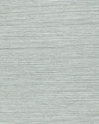 HARUKI SISAL ROBINS EGG by  Schumacher Wallpaper 