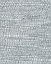 HARUKI SISAL CORNFLOWER by  Schumacher Wallpaper 