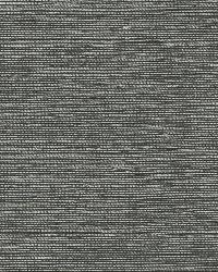 HARUKI SISAL CHARCOAL by  Schumacher Wallpaper 