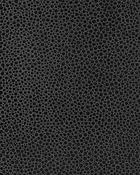 SHAGREEN CARBON by   