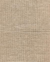 HARSHAW PINSTRIPE SISAL MALT by  Schumacher Wallpaper 