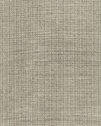 HARSHAW PINSTRIPE SISAL FOG by  Schumacher Wallpaper 