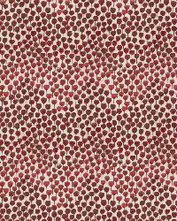 Mundara Red Blossom by   