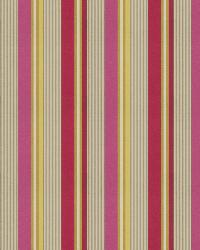 Dylan Stripe Bubble by  S Harris 